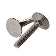 Stainless Steel Flat Head Carriage Bolt